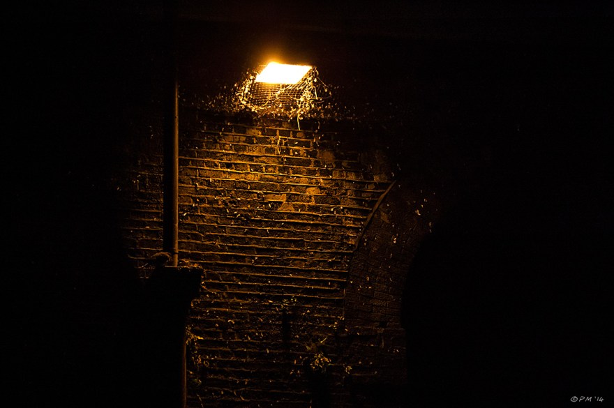 Lamp under Viaduct shining on brick wall with pigeon feathers Brighton 2014