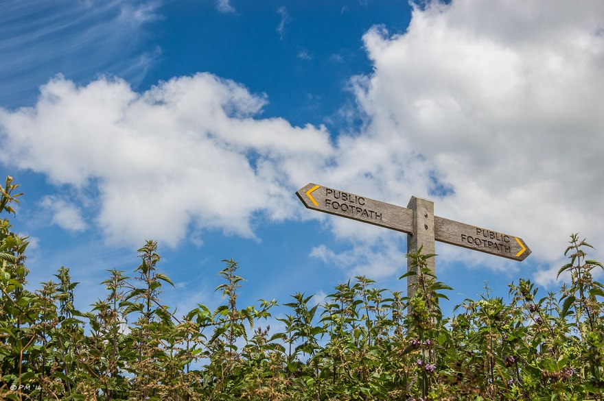 Public Footpath Sign among nettles against blue sky with clouds Lancing Hill to Coombs, South Downs National Park, Sussex UK  2014 eyeteeth.net