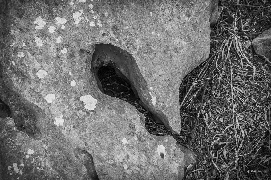 Rock and dead Olive leaves. Patara, Turkey. Monochrome abstract. P.Maton 2014 eyeteeth.net