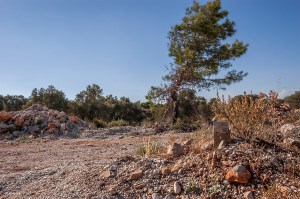 Rocks and tree beside dirt road. Patara Turkey. Landscape Colour. P.Maton 2014 eyeteeth.net