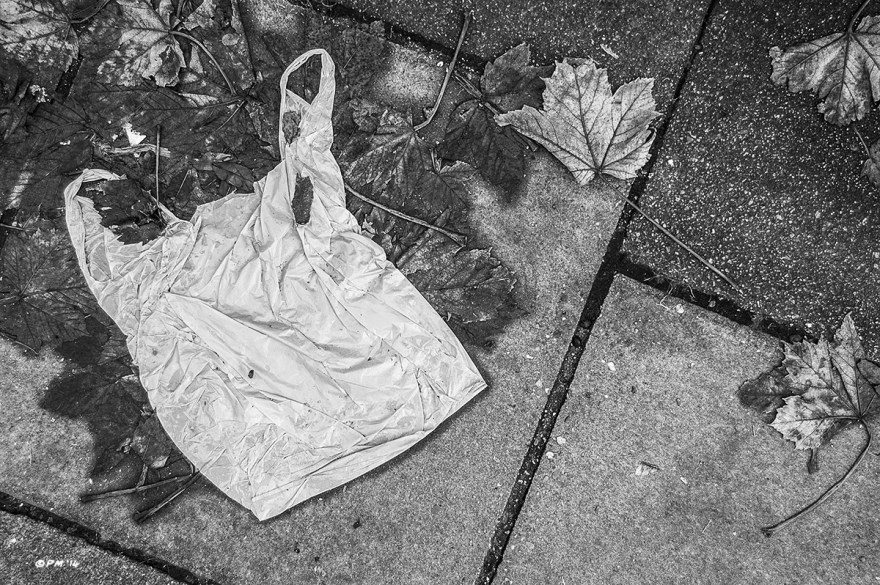 Discarded plastic bag lying on ground resembling a vest among autumn leaves on paving slabs. Monochrome Landscape. © P. Maton 2014 eyeteeth.net