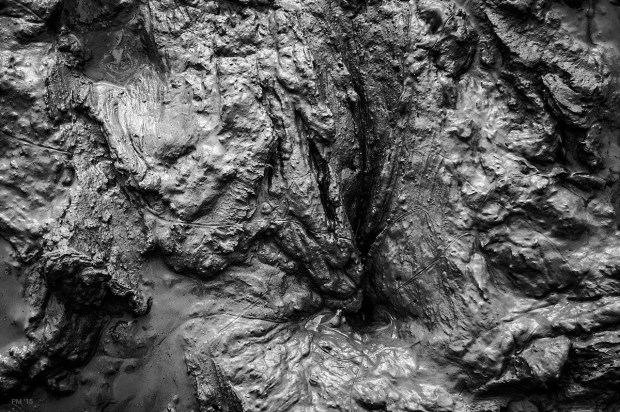 Hole in deep wet mud made by pig, Mohair Centre Sussex UK. Monochrome Landscape. © P. Maton 2014 eyeteeth.net