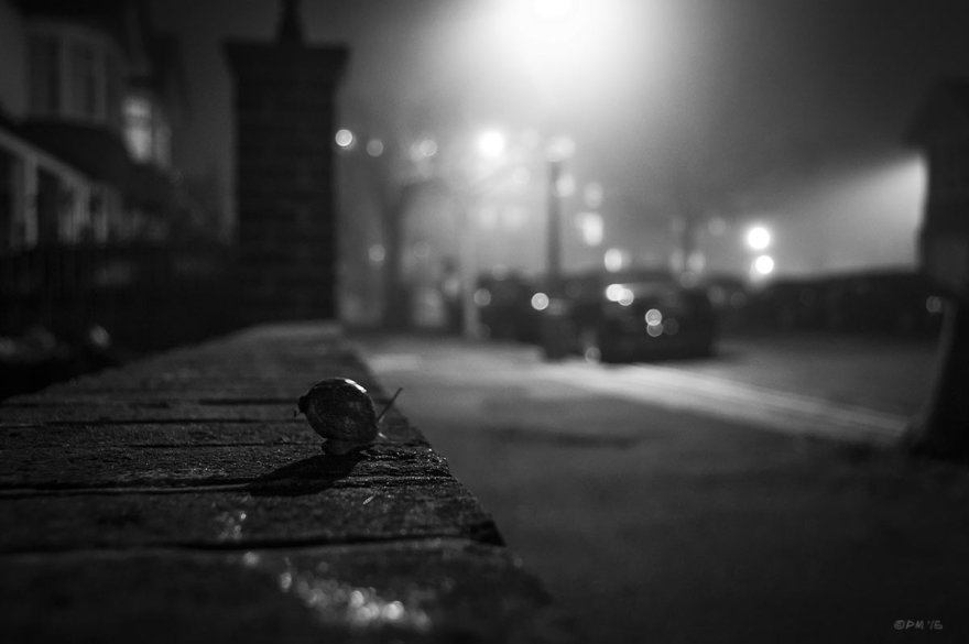 Snail heading along wall towards foggy street at night. Hove east Sussex UK. Monochrome Landscape. © P. Maton 2015 eyeteeth.net