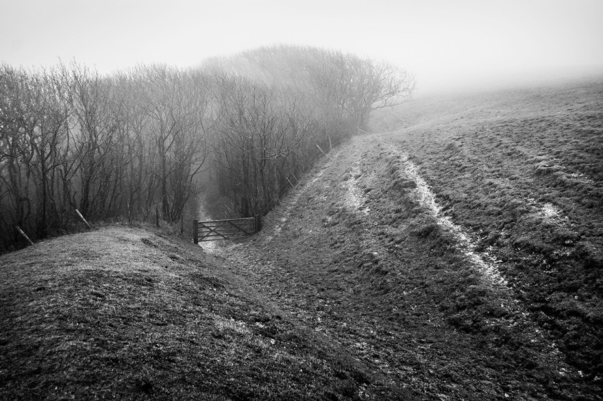 Path on hill leading to woodland through gate in fog. Fire Plantation South Downs Way East Sussex UK. Black and white rural landscape photograph. © P. Maton 2016 eyeteeth.net
