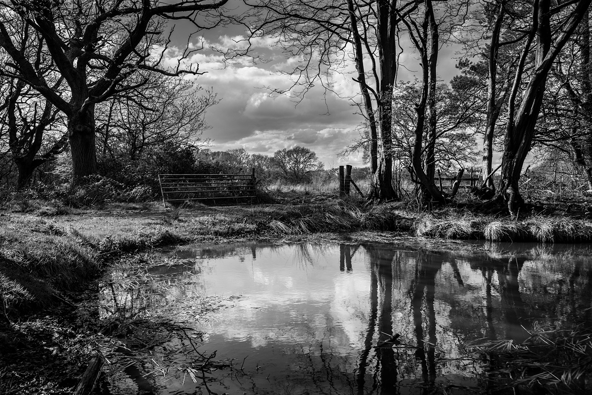 Landscape photograph with view through gateway seen over pond near Hemsley's Rough, East Sussex UK. Black and white rural British landscape photography. © P. Maton 2017 eyeteeth.net