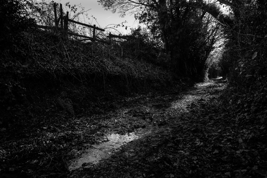 Fence silhouetted among hedgerow with path in foreground, near Nine Acre Copse, Mortimer, Berkshire UK black and white rural landscape photography countryside Britain ©P. Maton 2017 eyeteeth.net