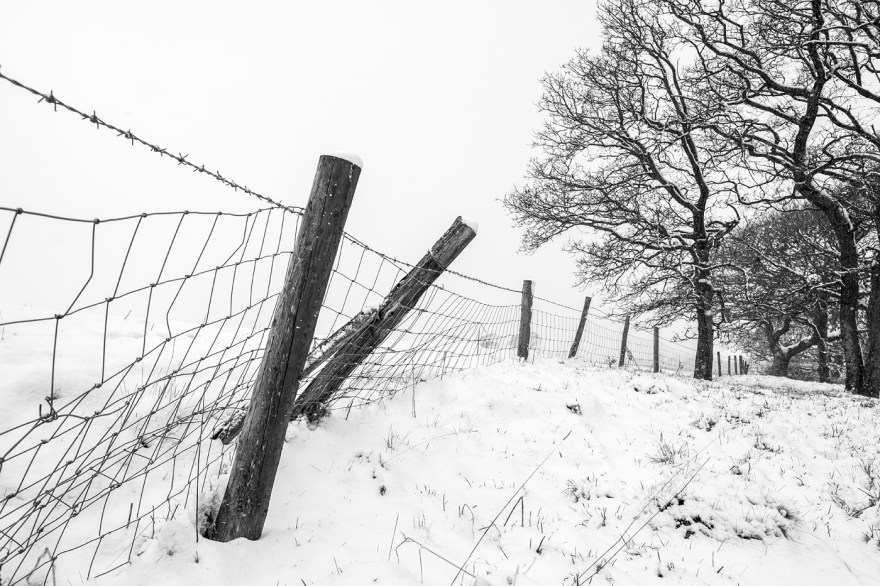 Snow scene with leaning fenceposts leading eye to distant trees Mill Lane Poynings West Sussex UK black and white rural landscape ©P. Maton 2018 eyeteeth.net