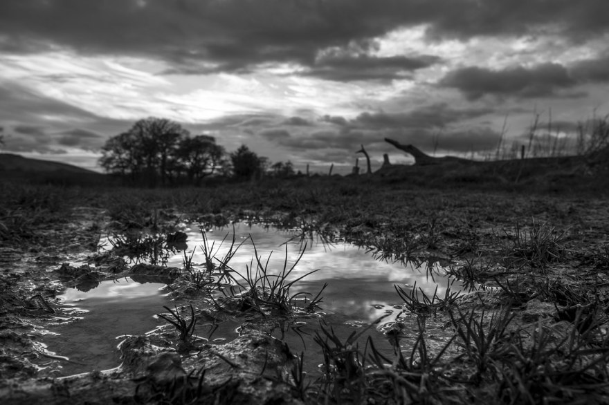 Puddle on footpath in foreground with clumps of grass and reflections of evening sky, Mill Lane Poynings West Sussex UK, blacks and white rural countryside landscape photograph © P. Maton 2018 eyeteeth.net 