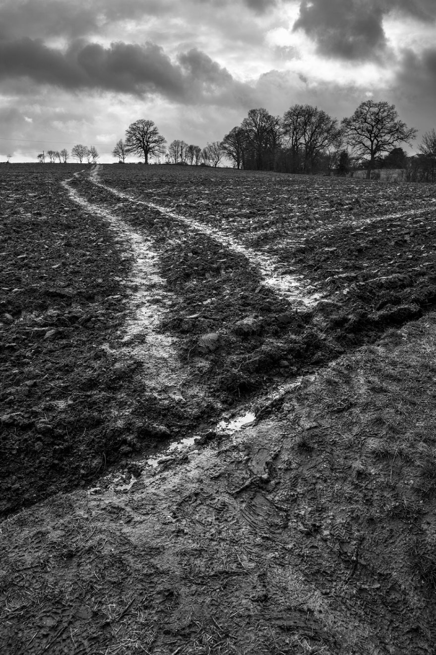 footprints in mud and tracks winding across furrows on ploughed field with trees in background, Mortimer Common Oxfordshire UK black and white vertical landscape © P. Maton 2018 eyeteeth.net