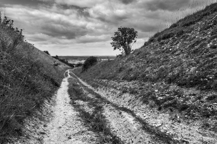 Chalk path with backed sides leading down hill with cloudy sky, shrubs and view west over sussex towards Hazelmere , strong leading lines black and white rural landscape photograph Truleigh Hill West Sussex UK ©P. Maton 2018 eyeteeth.net