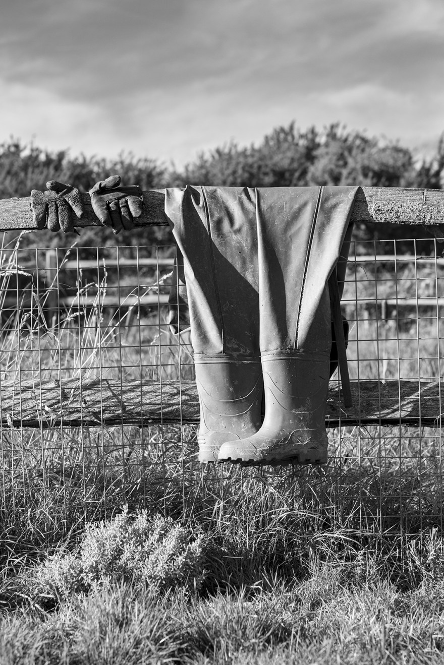 Rubber waders and work gloves draped over wooden fence by dew pond  amid chalk downland flora, Sheepcote Valley, Brighton UK black and white rural portrait photograph ©P. Maton 2018 eyeteeth.net