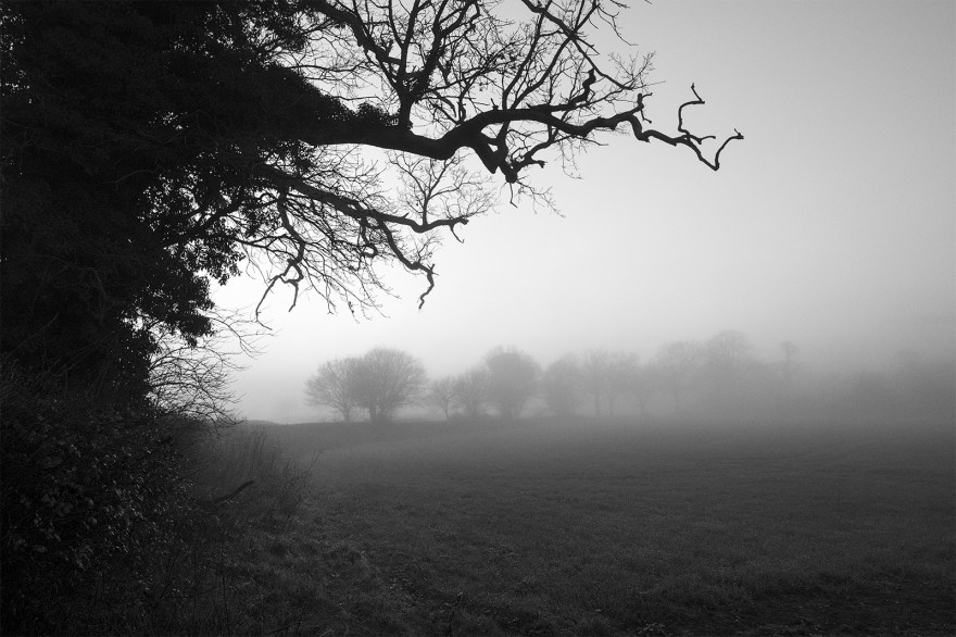 Twisted tree branches reaching out from hedge at edge of foggy field with trees in distant mist Stratfield Mortimer Berkshire UK black and white landscape composition nature rural countryside documentary photograph ©P. Maton 2018 eyeteeth.net