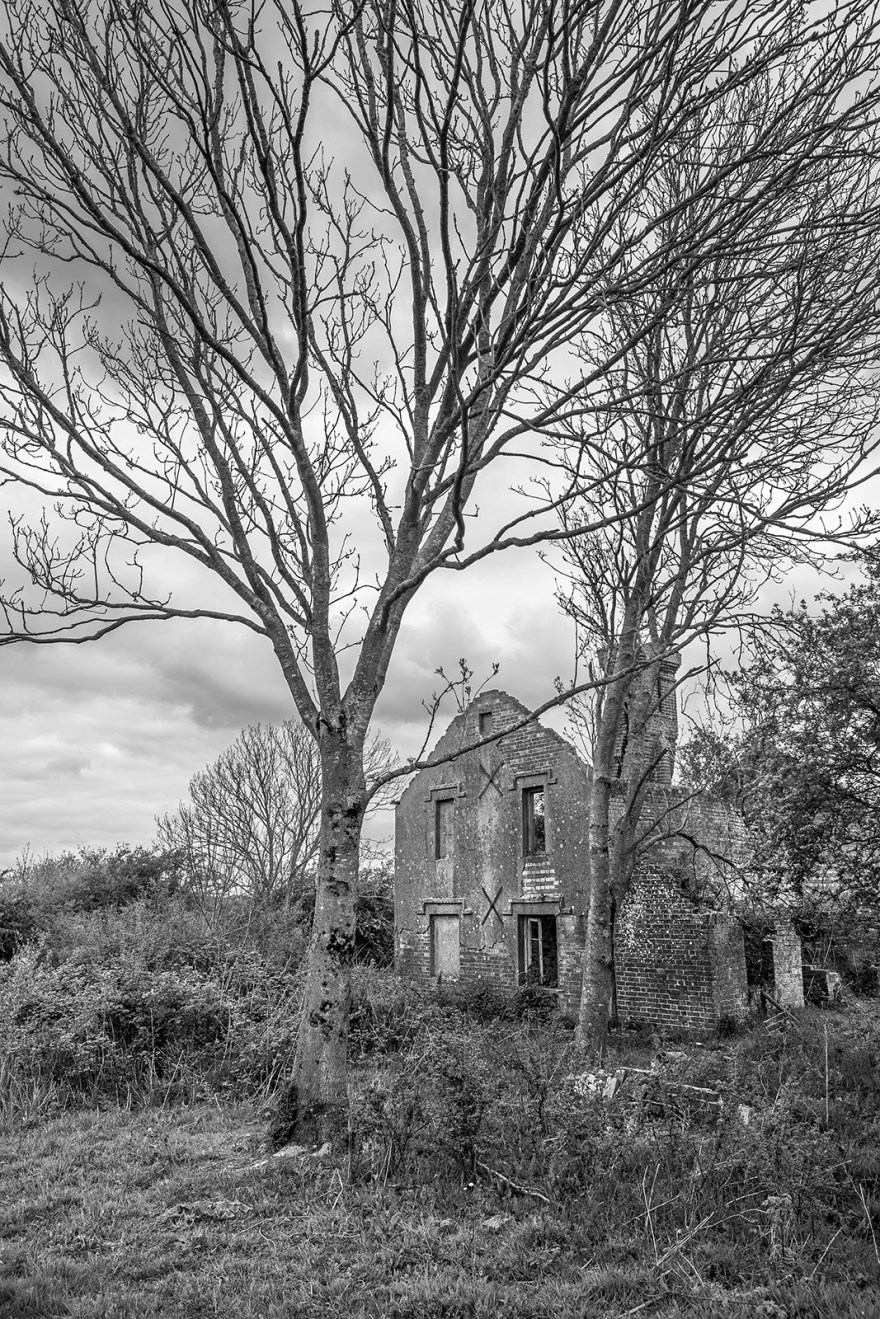Ruined abandoned house by trees, black and white portrait rural landscape Hemsley's Rough, Halland, East Sussex UK ©P. Maton 2019 eyeteeth.net