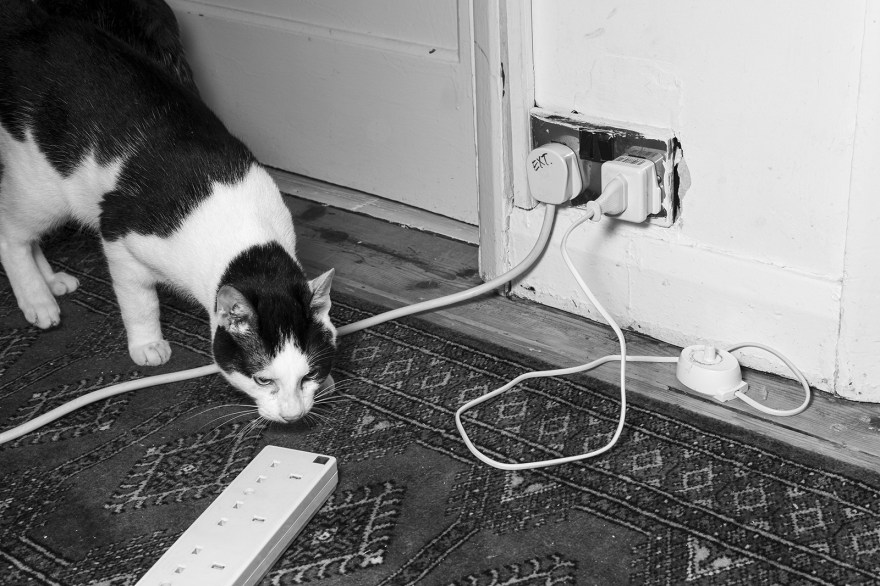 Black and white cat sniffing atmultiplug extension lead on carpeted floor black and white portrait photograph P. Maton 2019 eyeteeth.net