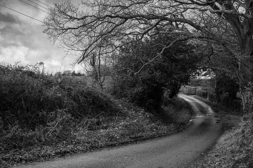 Black and white rural landscape of Drury Lane Stratfield Mortimer Berkshire UK ©P. Maton 2019 eyeteeth.net