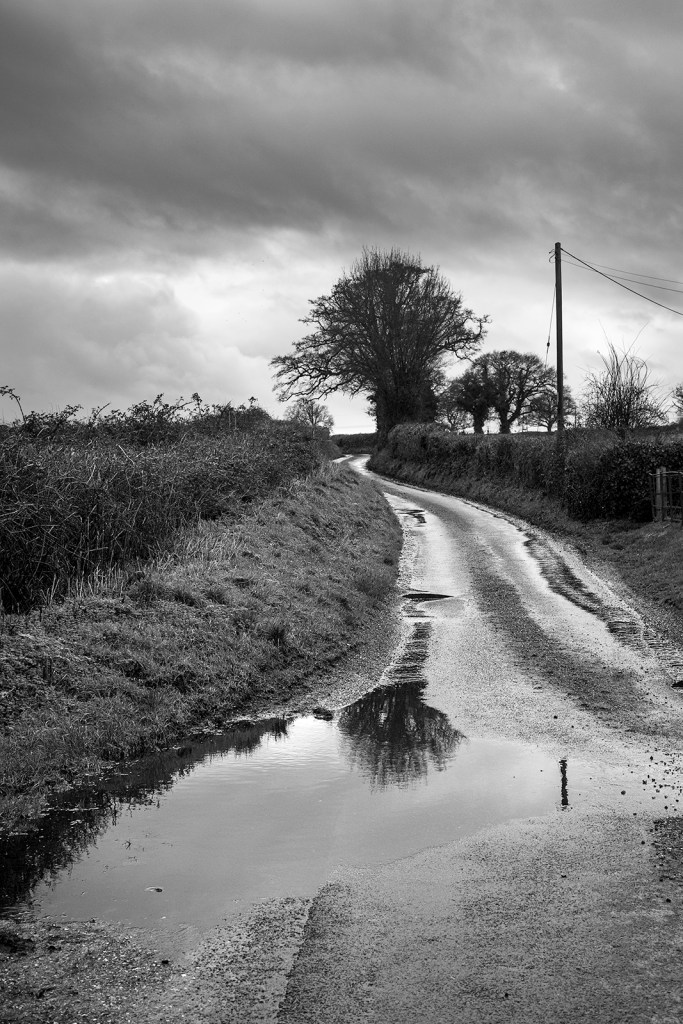 Black and white rural landscape of Pitfield Lane Stratfield Mortimer Berkshire UK ©P. Maton 2019 eyeteeth.net