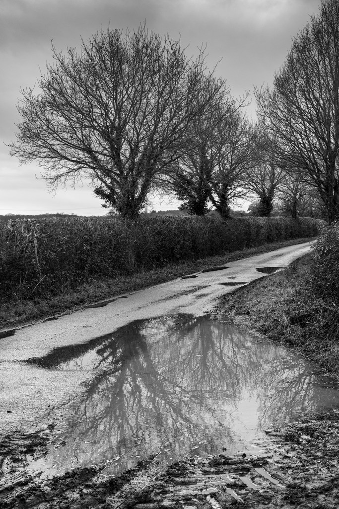 Black and white rural landscape of Pitfield Lane Stratfield Mortimer Berkshire UK ©P. Maton 2019 eyeteeth.net