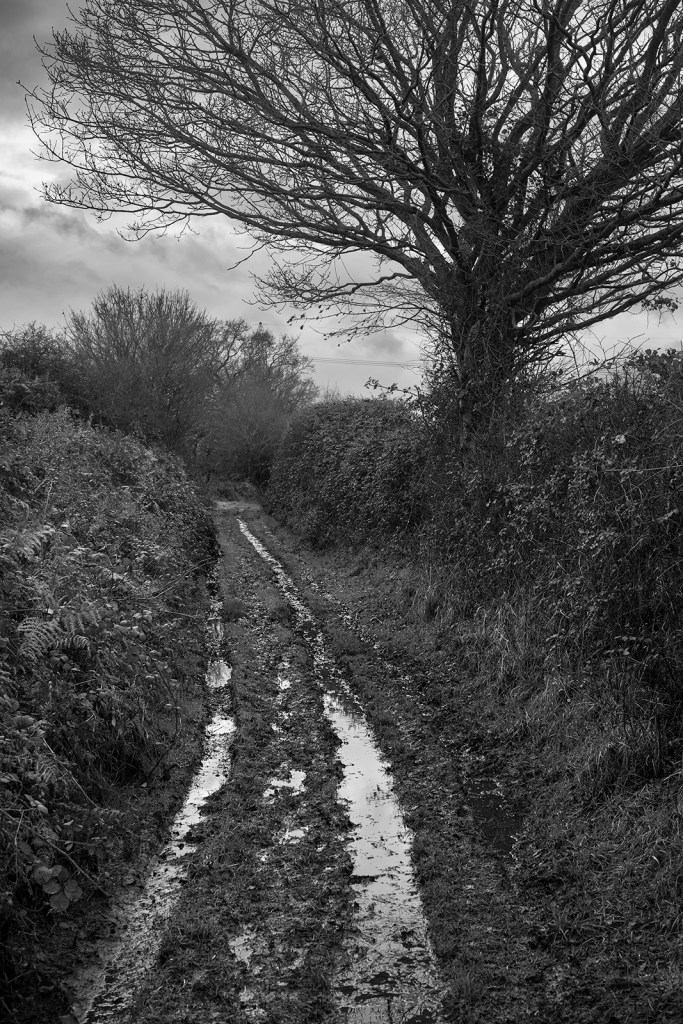 Black and white rural landscape of Pitfield Lane Stratfield Mortimer Berkshire UK ©P. Maton 2019 eyeteeth.net